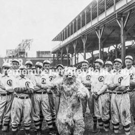 1908 Chicago Cubs Scary Bear Mascot
