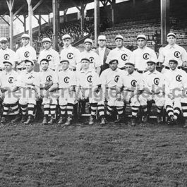 1908 Chicago Cubs Team Photo